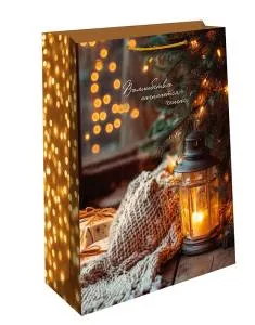 Пакет подарочный 26*32*12 см./ 0193.587