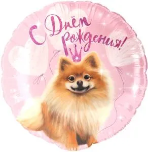 18" Круг, С Днем Рождения! (шпиц) Китай / 26201