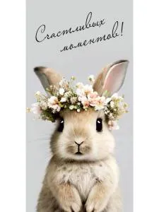 Конверт для денег 1-05-0288