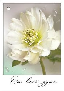 Открытка "Праздник" 2901810