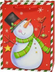 Пакет "Снеговичок с птичкой" Красный 23*18*10/210708S1