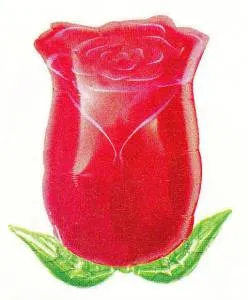 Роза чайная