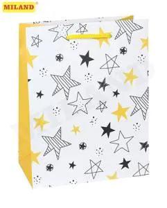 Пакет подарочный М/ППД-9830 18*23*10 см с ламинацией