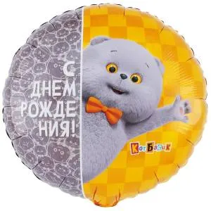 18" РУС ДР Кот Басик / Китай 1202-4145