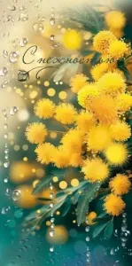 Конверт "Праздник" 5.0000089