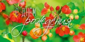 Открытка "А-Д" 0316.636