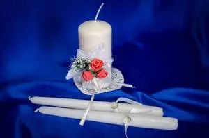 Семейный очаг (красный цветок)