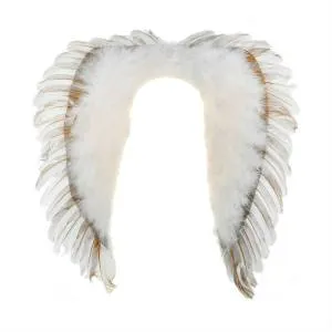 Крылья ангела 50*50-327472