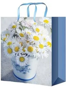 Пакет подарочный L/ПКП-0364 26,4*32,7*6 см 