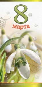 Бирка "Империя поздравлений" 81695