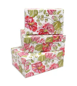 Коробка 21*14*5,5 см. ПП-0572