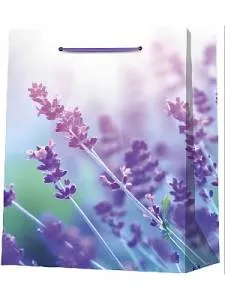 Пакет подарочный ППК-1778 18*23*10 см