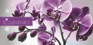 Конверт "Праздник" 2700421