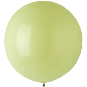 Э 24" Стандарт Macaron Pistachio /1102-1917
