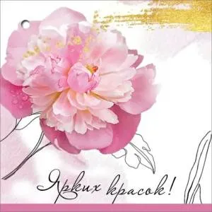 Бирка "Праздник" 5.0000350