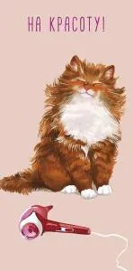 Конверт "А-Д" 0320.231