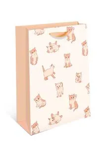 Пакет подарочный 18*22,3*10 см. / 1312.870